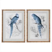 TWO BLUE PARROT PRINTS IN WOODEN PRINTS.