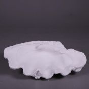 FAUX GIANT CLAM SHELL.