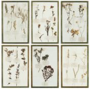 FRENCH HERBARIUM. A SET OF 6 LATE 19TH CENTURY HERBARIUM (6).