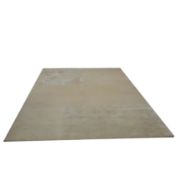 ASIATIC TATE CARPET.