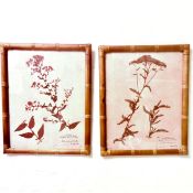 TWO BOTANICAL PRINTS IN BAMBOO FRAMES.