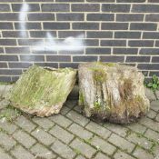 PETRIFIED LOGS. (2).