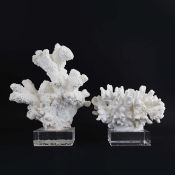 WILLIAMS SENOMA HOME FAUX CORAL DISPLAY, AND ANOTHER DIFFERING AND UNSIGNED. (2).