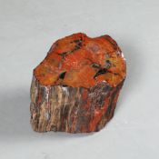 PETRIFIED WOOD SPECIMEN.