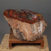 PETRIFIED WOOD SPECIMEN.