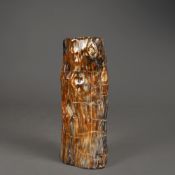 PETRIFIED WOOD SPECIMEN.