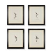 JEAN BAPTIST AUDEBERT & LOUIS JEAN PIERRE VIELLOT. OISEAUX DORÉS OU À REFLETS MÉTALLIQUES.
