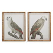SET OF TWO CONTEMPORARY PRINTS OF PARROTS IN RATTAN FRAMES.