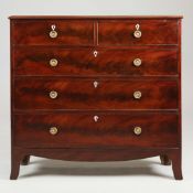 REGENCY MAHOGANY HALL CHEST.