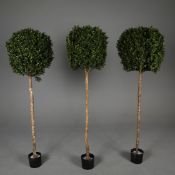 FAUX BOX TREES, A SET OF 3.