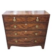 REGENCY MAHOGANY HALL CHEST