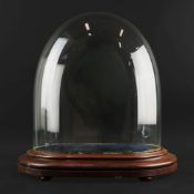 A LARGE VICTORIAN MAHOGANY AND GLASS DOME