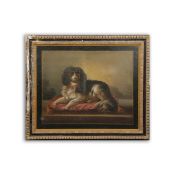 18TH CENTURY FRENCH SCHOOL KING CHARLES SPANIEL ON A RED CUSHION