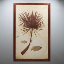 FOSSIL PALM FROND WITH FISH