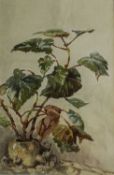 G F Horobin (20th Century) Still life of a potted plant, signed, watercolour, underdrawn in