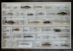 Damien Hirst (b.1965), Isolated Elements Swimming in the Same Direction..., photolithographic poster