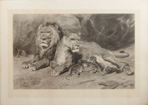 Thomas Lewis Atkinson (1817-1898), after Rosa Bonheur A lion and lioness with cubs, pencil signed to