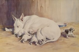 After Christopher Gifford Ambler 'Ishmael', a sleeping Staffordshire bull terrier with puppies,