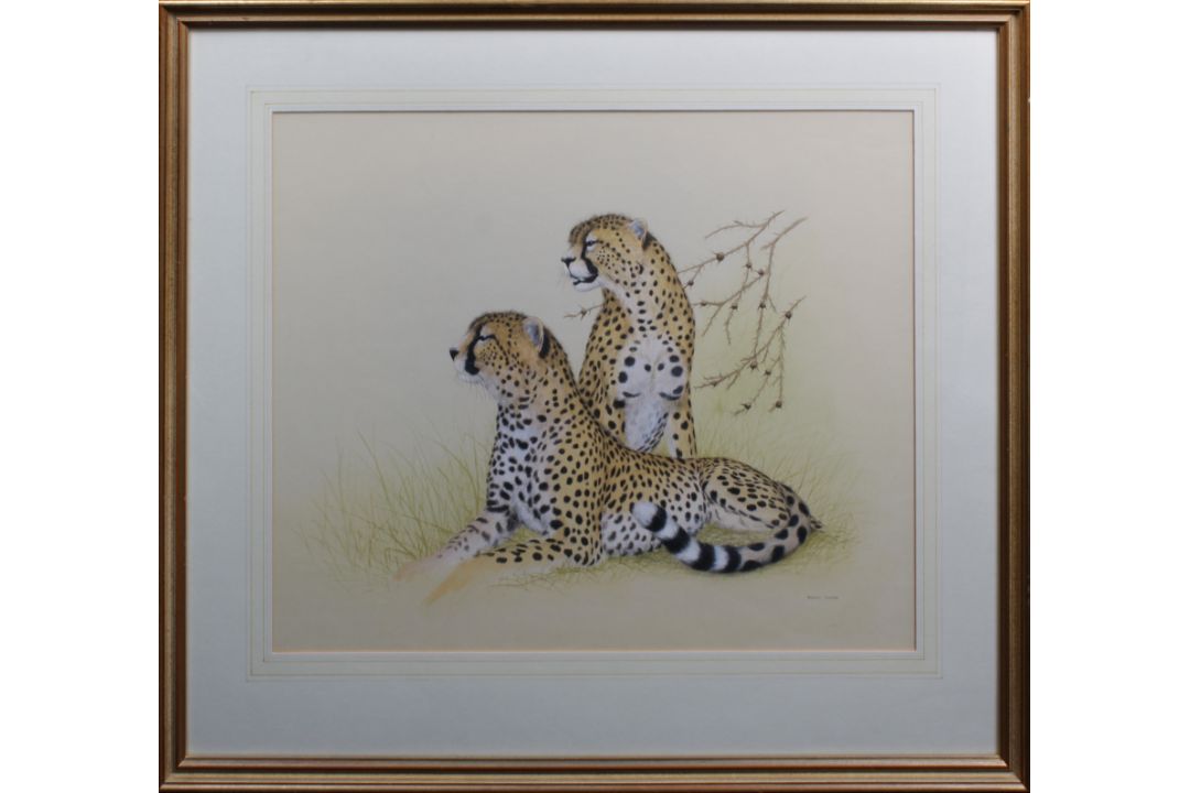 Andrew Cooper (British, late 20th century), "Cheetah", Signed, watercolour and gouache, signed and