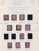COLLECTABLE STAMPS GREAT BRITAIN Batch of Penny Reds on pages various plates (one stamp marked as