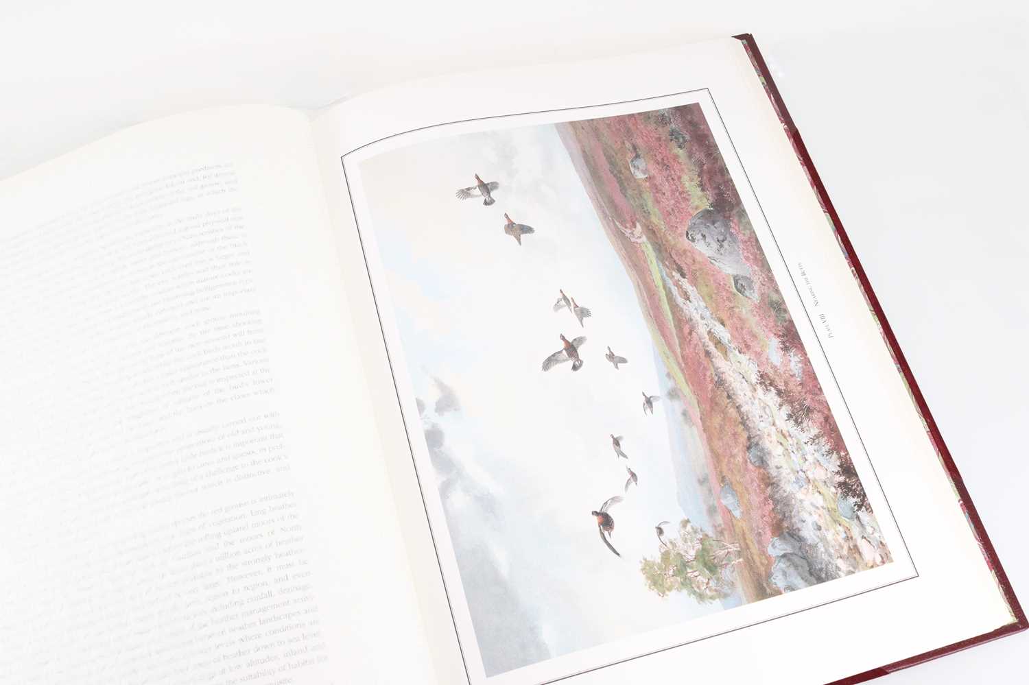 COLLECTION OF FISHING/HUNTING/COUNTRY RELATED BOOKS, MID 20TH CENTURY AND LATER - Image 6 of 6