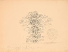 Jane Austen. English School, early 19th century - Elms in Goodnestone Park the Seat of Sir Brook