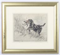 Henry Wilkinson (1926-2011), limited edition etching of a Labrador Retriever dog.