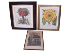 Three assorted prints.