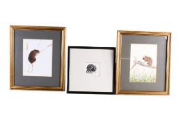 Three assorted pictures of mice.