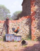 Edward Hersey (British, born 1948), oil on canvas, cockerel atop a water trough.