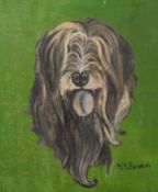 Adriaan Van Esveld (Dutch, born 1947), oil on board, Tibetan Terrier.
