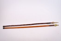 Two walking sticks. Both having carved stone tops with brass finials.