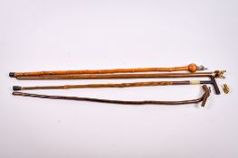 A group of four assorted walking sticks.