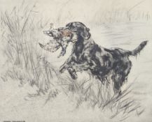 Henry Wilkinson (1926-2011), limited edition etching of a Labrador Retriever dog.