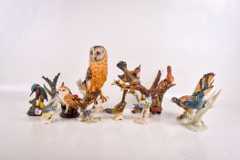 A collection of ceramic bird models.