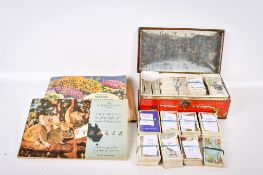 A collection of assorted vintage cigarette trading cards.
