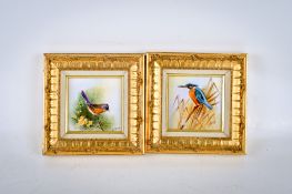 A pair of 20th century painted porcelain tiles depicting birds. Signed 'N.