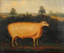 An oil on canvas portrait of a sheep. Marked 'L. Parsons bred by M.