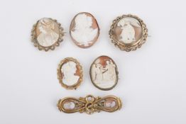 A collection of vintage shell cameo brooches.