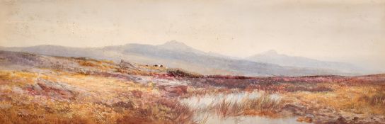 A 20th century watercolour moorland landscape. Indistinctly signed 'W.