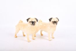 Two Beswick Pottery Pug Dogs - 'Champion Cutmil Cupie'.