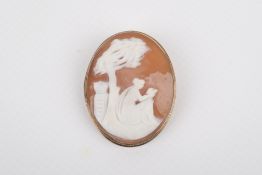 A carved shell cameo brooch in a gold plated mount.