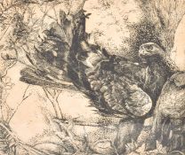 Robin Forrester, limited edition engraving of a eagle.