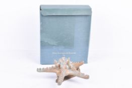 A Black Country Metalworks brass door knocker in the form of a Starfish. In the original box, H19cm.