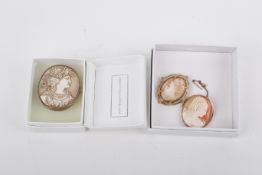 Three cameo brooches.