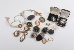 A collection of brooches and jewellery.