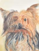 Yorkshire 'Yorkie' terrier dog, gauche on paper.