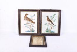 Two 19th century ornithological feather pictures and a Victorian embroidery.