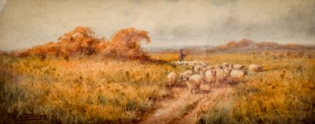 E E Jefferies, early 20th century watercolour, sheep on pastures. Signed (lower left), 15cm x 36.