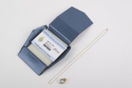A 9ct gold pendant and chain.